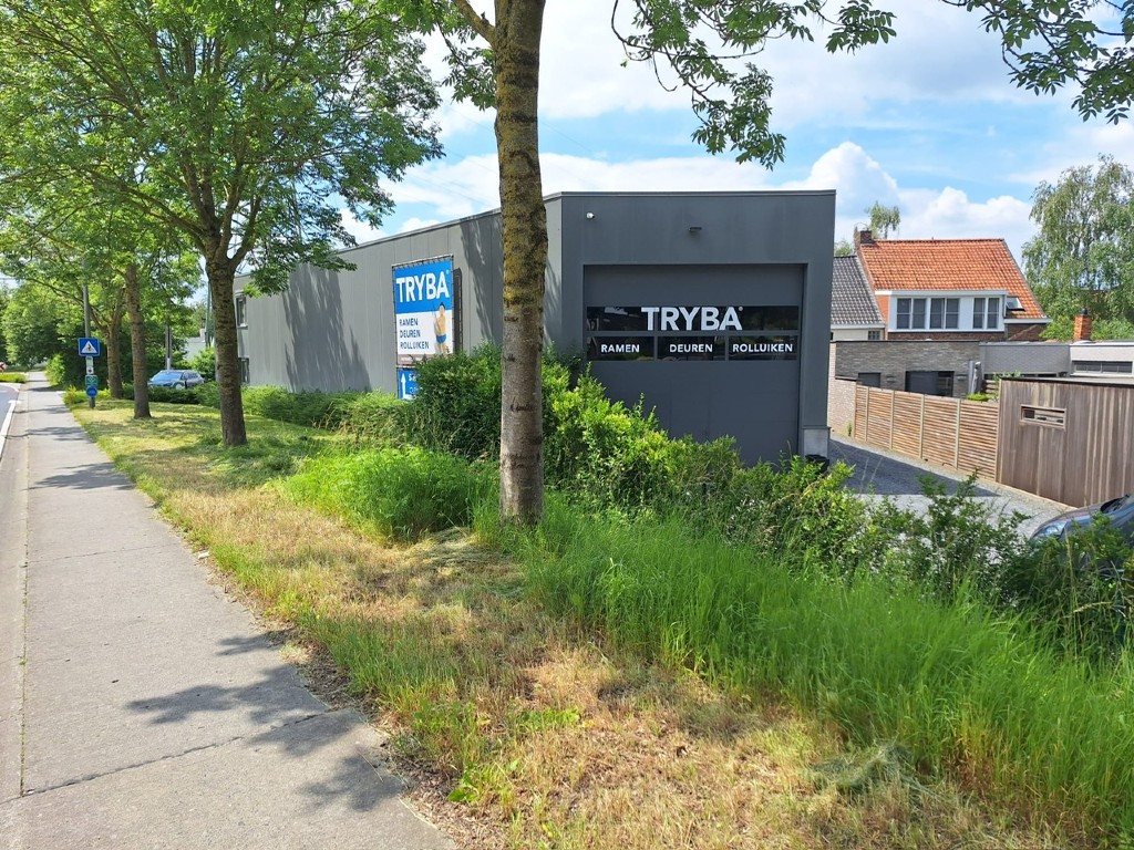 tryba courtrai arriere